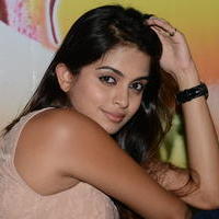 Sheena Shahabadi at Nuvve Naa Bangaram First Look Release Photos | Picture 599573